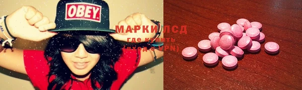 гидра Инсар