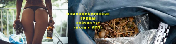 гидра Инсар