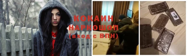гидра Инсар