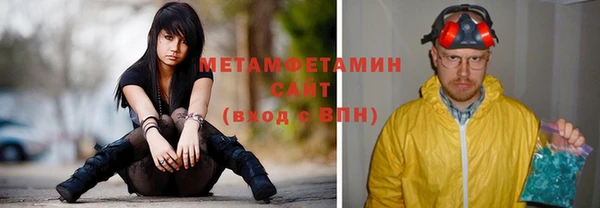 гидра Инсар