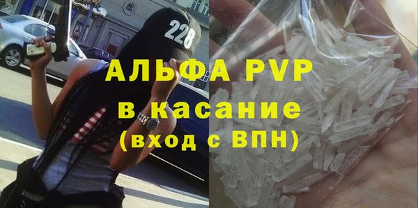 гидра Инсар