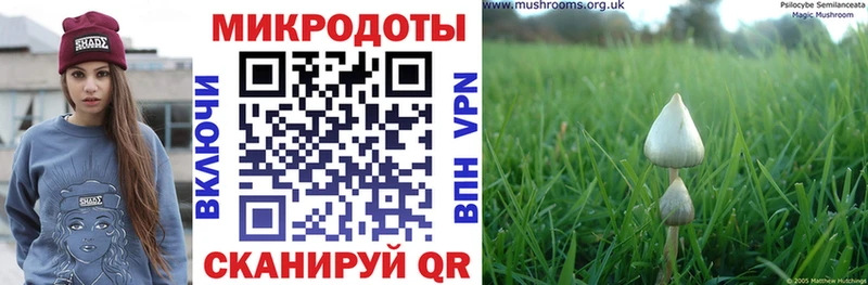 Купить закладки  Сельцо  Псилоцибиновые грибы Psilocybine cubensis 